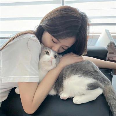 港湾第三季